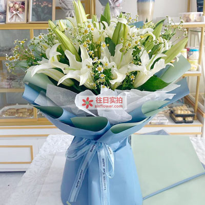 本溪8支白色多头百合洋甘菊,互倾的思念