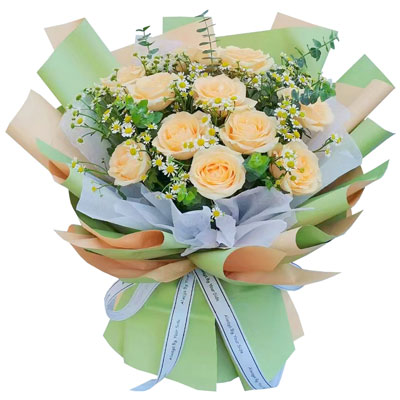 本溪11朵香槟玫瑰洋甘菊，爱温暖幸福
